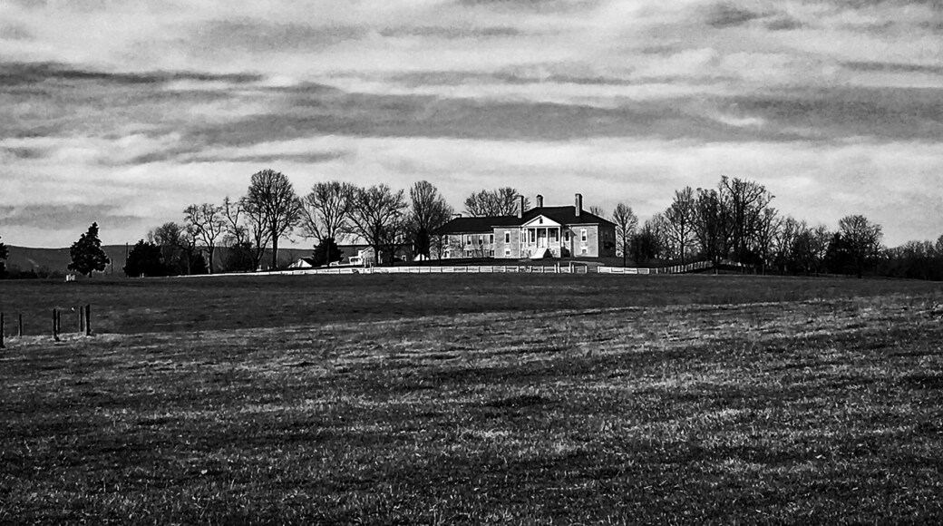 Beautiful drive up to this plantation. You can take a tour of it as well.