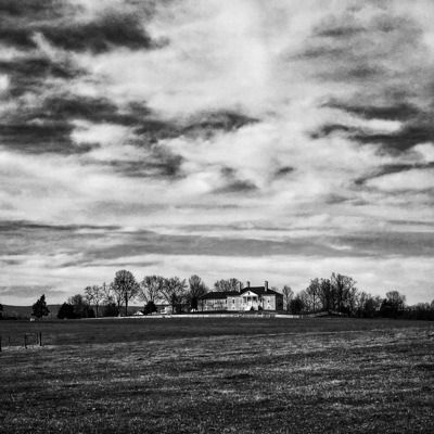 Beautiful drive up to this plantation. You can take a tour of it as well.