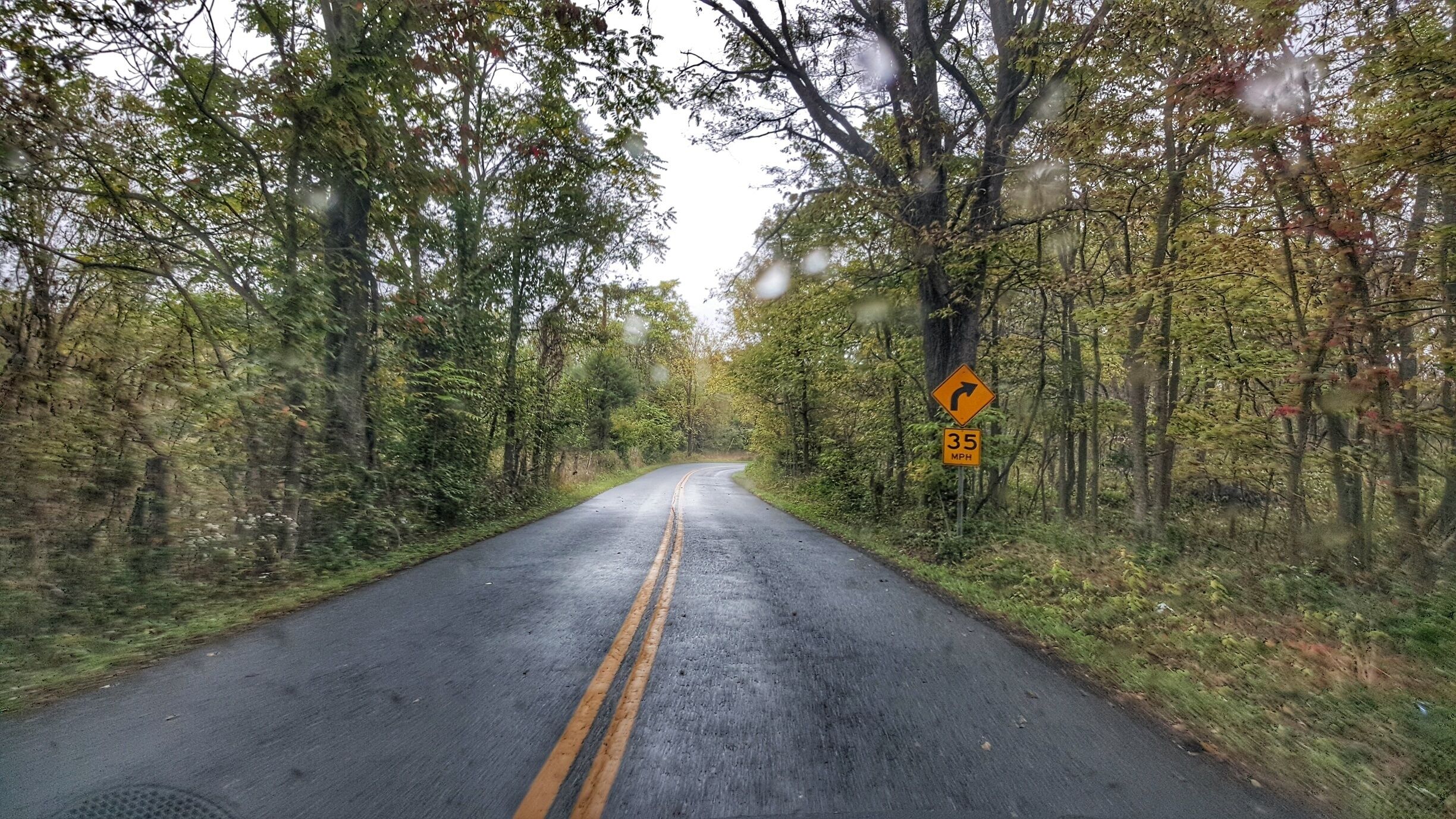 A two-lane road winding through a forest with a speed limit sign of 35 mph.