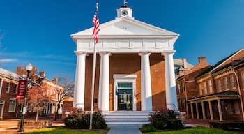 Casc antic de Winchester