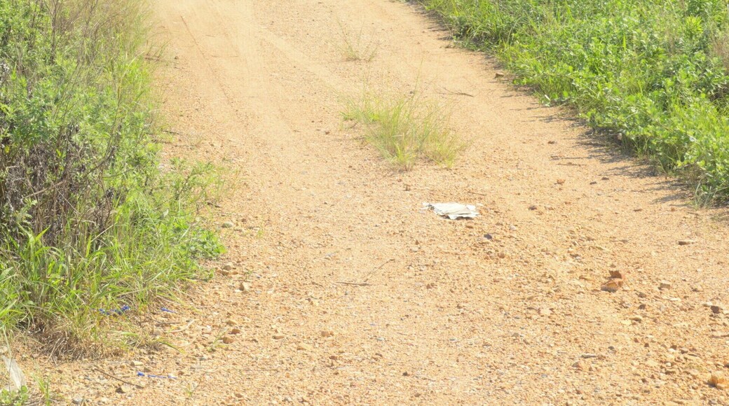 Hinode Nakayamachō, Tahara-shi, Aichi-ken 441-3615, Japan