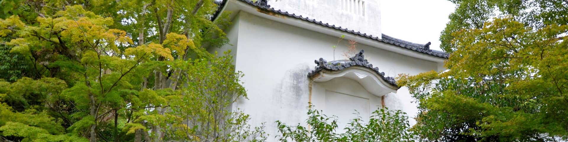 A traditional white building with a tiled roof, surrounded by lush green trees.