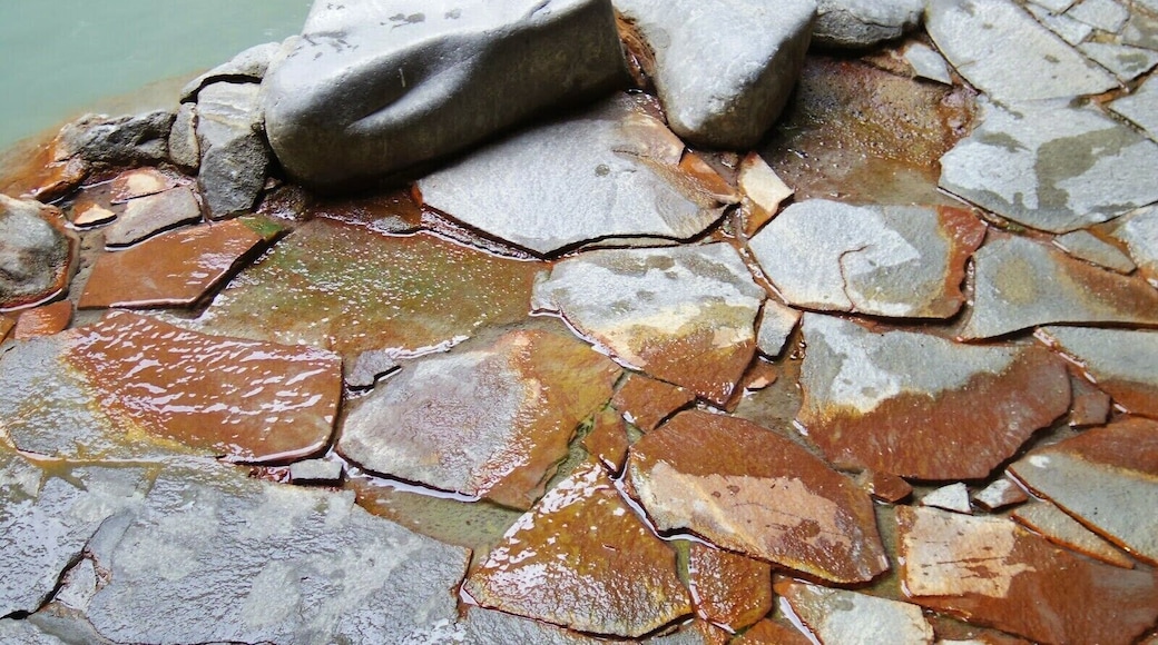 Sakura Sakura Onsen (さくらさくら温泉) is one of the many onsen (hot spring baths) you can find in the prefecture of Kagoshima, located in southern Japan. This onsen is a mild-acid sulfer spring and is said to be effective for treatment of neuralgia, stiff shoulders, exhaustion, rheumatism, sprain, and external wounds. So...pretty much everything!
Sakura Sakura Onsen is famous for their mud bath, which will make you smell foul of sulfer for days but will make your skin shiny and smooth like a new born baby.
This onsen is located within the grounds of Kirishima Kinowan National Park, which was designated in 1934, one of the first in Japan.
#Kirishima #NationalPark
Blog Post Here: http://goo.gl/G9K0VD
More Park Info Here: http://goo.gl/kwn2Wn