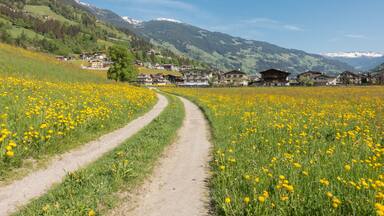 Dirt road to the holiday village Hippach - Schwendau in the Zillertal, Shutterstock ID 1079452634, Purchase Order: SP-1394 HA Batch 3 Part 1, Order Number: , Client/Licensee: HomeAway, Other: To be pa