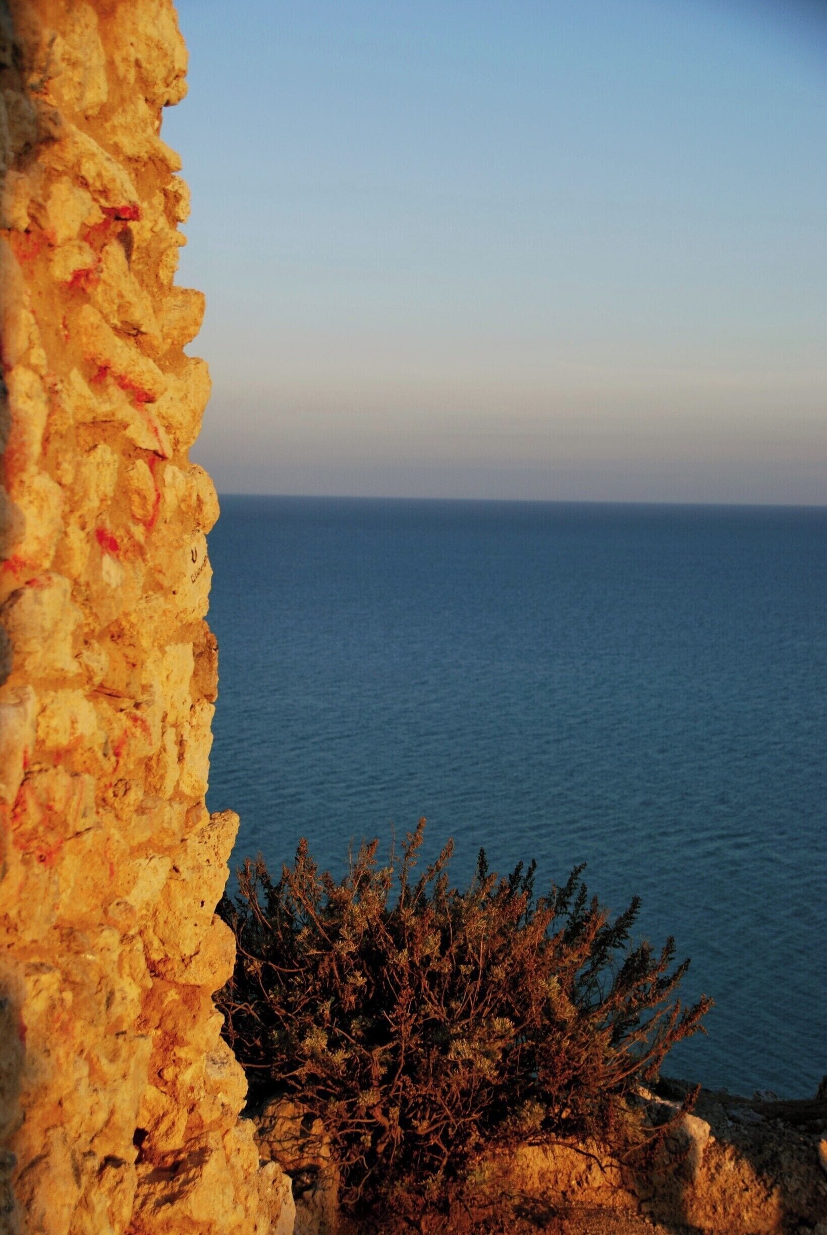 The Monastery of Santa Maria da Vitória, known as the Monastery of Batalha (that literally translated means the Monastery of the Battle), is located in the town of Batalha in the center region of Portugal. 

It was built as a result of the promise made on the battlefield, by King João I to the Virgin Mary, under the pressure of all that was at stake, to build a monastery if victory were his on the famous 1385 Battle of Aljubarrota over the Castilians. It serves as well as the burial church of the 15th-Century Aviz dynasty of Portuguese royals. The Monastery (that is one of the best examples of Gothic architecture in Portugal), gave life to its surroundings and shaped their development over more than six centuries.

As Capelas Imperfeitas (The Unfinished Chapels) remain as a testimony of the fact that the monastery was never actually finished. They form a separate octagonal structure tacked on the choir of the church and only accessible from the outside. It was commissioned in 1437 by King Edward of Portugal as a second royal mausoleum for himself and his descendants, but only him and his queen Eleanor of Aragon are buried here. The octagonal rotunda has seven radiating hexagonal chapels. In the corners of the chapels stand the massive unfinished buttresses, that were intended to support the vault. The portal rises to a monumental fifteen meters. It was originally built in Gothic style, but was transformed beyond recognition by Mateus Fernandes into a masterpiece of Manueline style and completed in 1509.

The Monastery of Batalha has been part of the UNESCO World Heritage List since 1983.

http://bit.ly/1RG9D2m