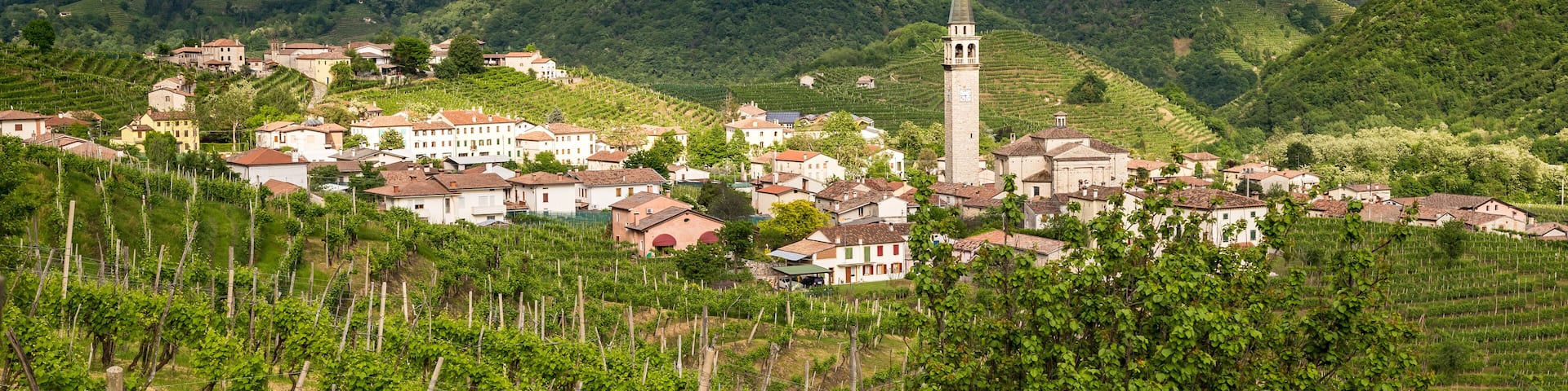 Valdobbiadene region of Prosecco sparkling wine, vineyards planted with steep slopes of hills. Italy