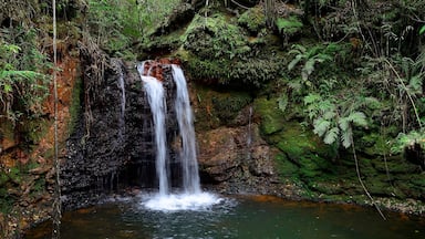 Waterfall Salto Kanymby, Organic Reserve Tati Yupi, Hernandarias, Alto Parana, Paraguay, South America