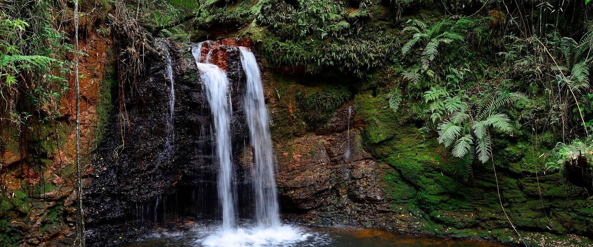 A waterfall cascading into a pool surrounded by lush greenery and moss-covered rocks.