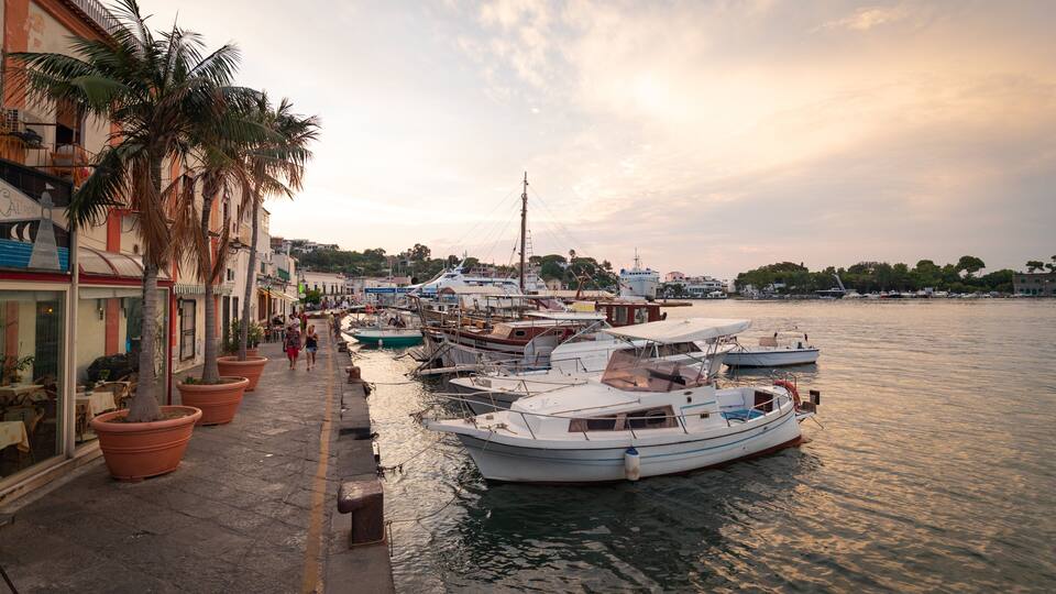 A marina with boats docked along the waterfront, surrounded by buildings and palm trees.