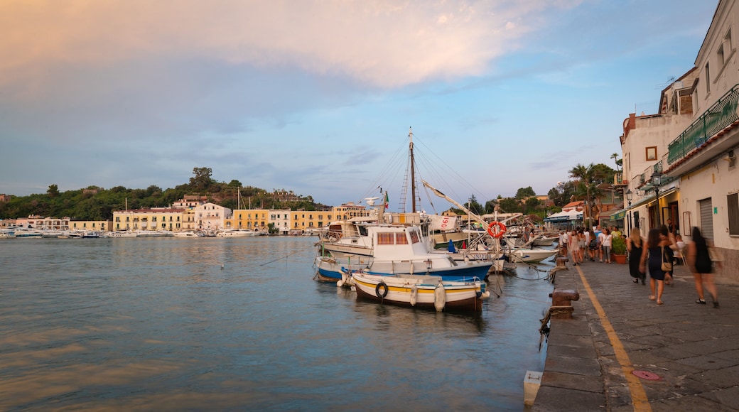 Ischia Port showing a bay or harbor and a sunset