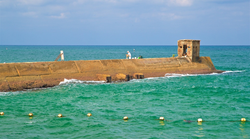 Porto di Tel Aviv che include vista della costa