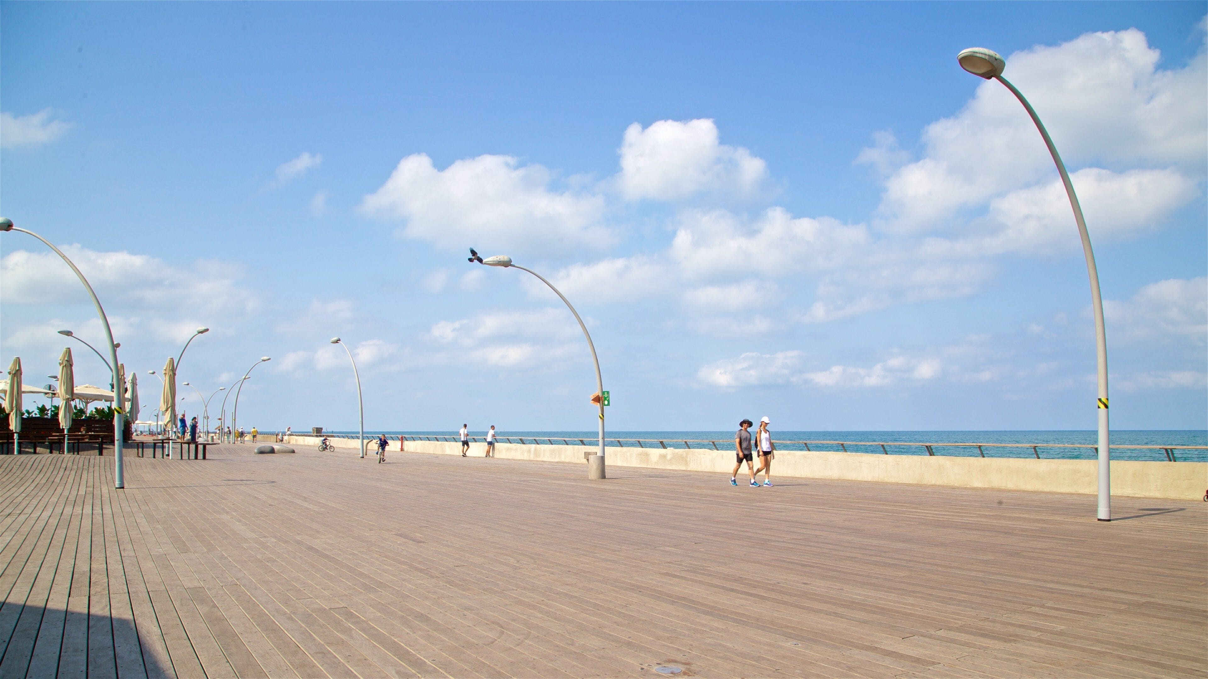 Gamlehavnen i Tel Aviv fasiliteter samt vandring eller fottur og kyst i tillegg til par