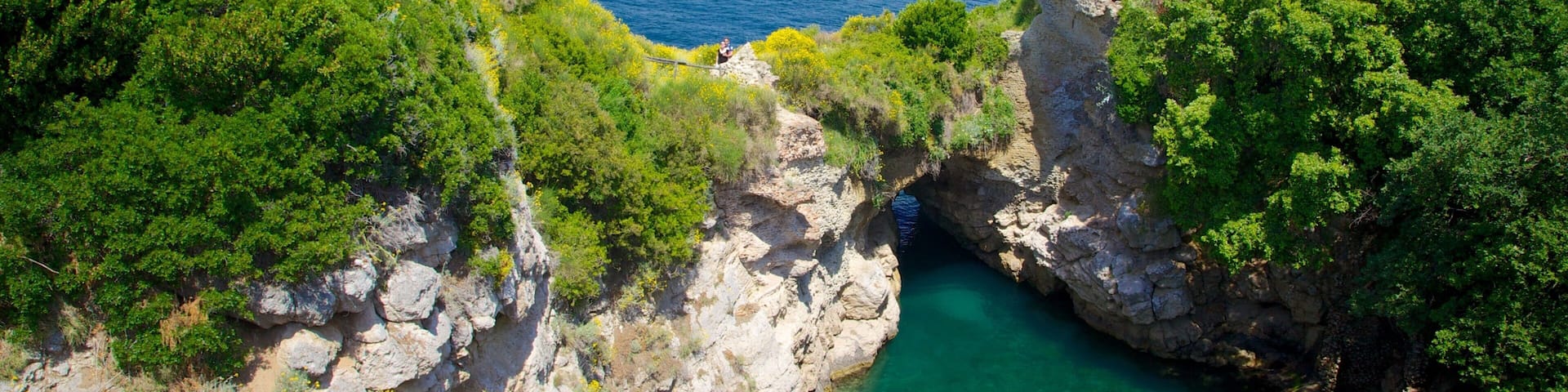バース オブ クイーン ジョヴァンナ どの含み 荒々しい海岸線