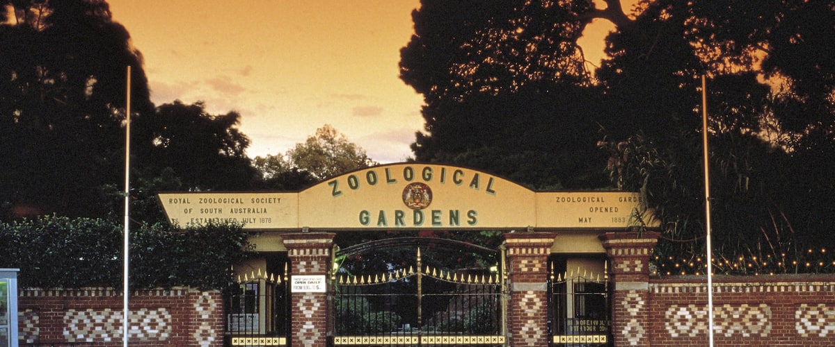 Adelaide Zoo que incluye señalización y animales del zoo