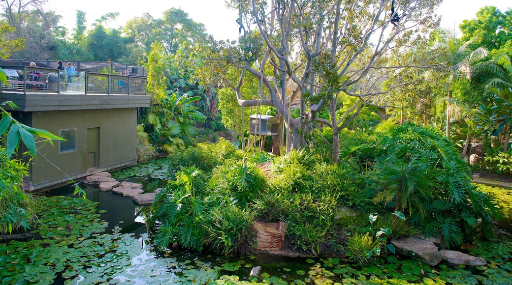 Adelaide Zoo which includes zoo animals and a pond