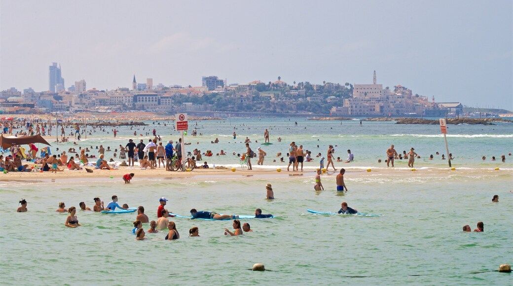 Gordon strand som viser strand, kyst og svømming