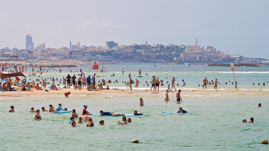 Gordon Beach showing swimming, a coastal town and a sandy beach