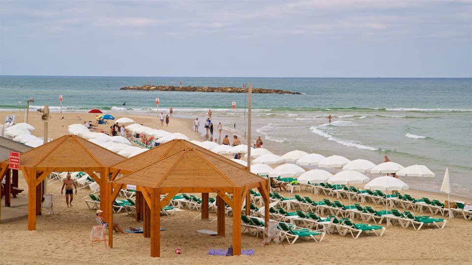 Gordon Beach featuring general coastal views and a sandy beach as well as a small group of people