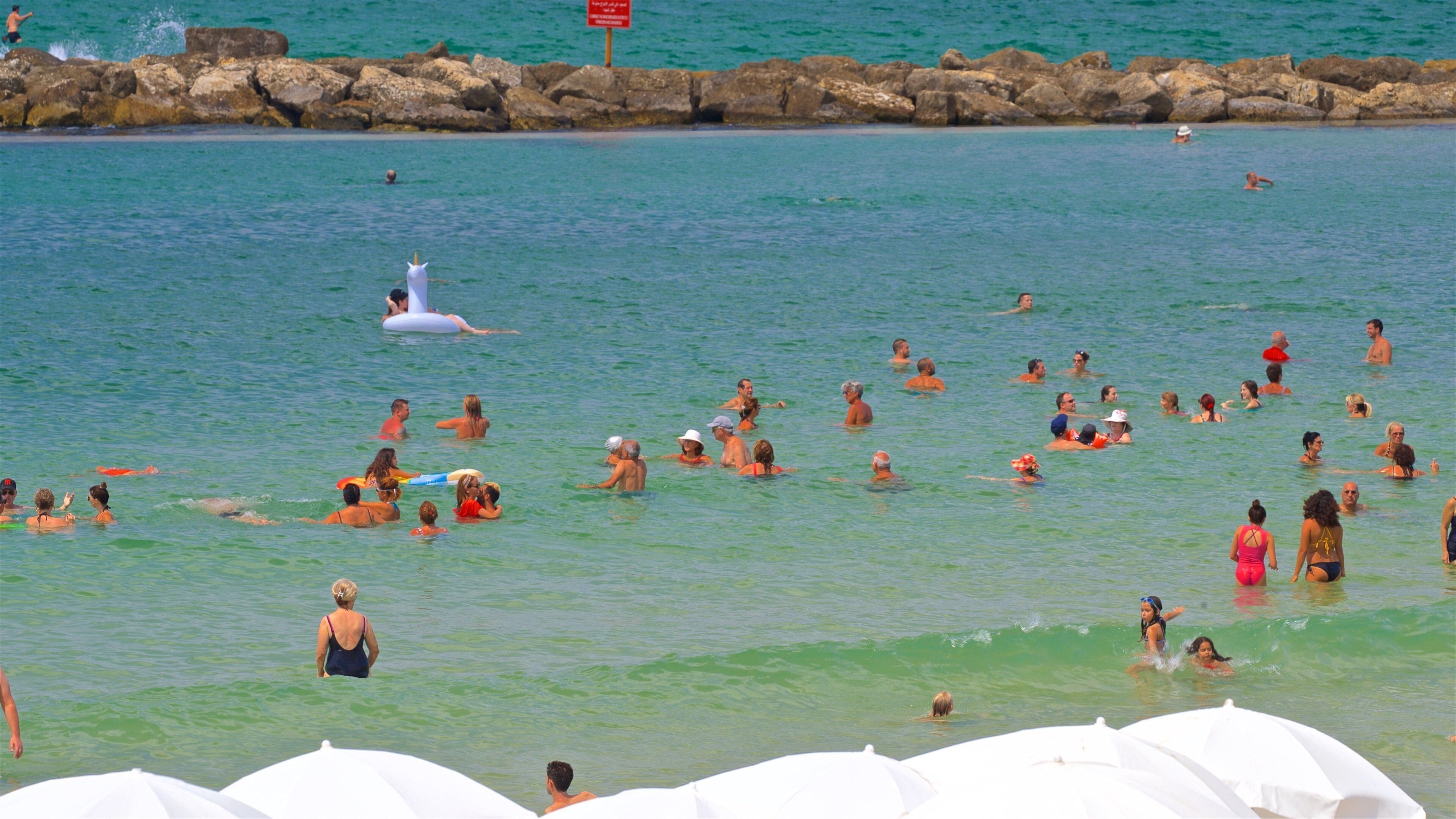 Gordon Beach which includes general coastal views and swimming as well as a small group of people