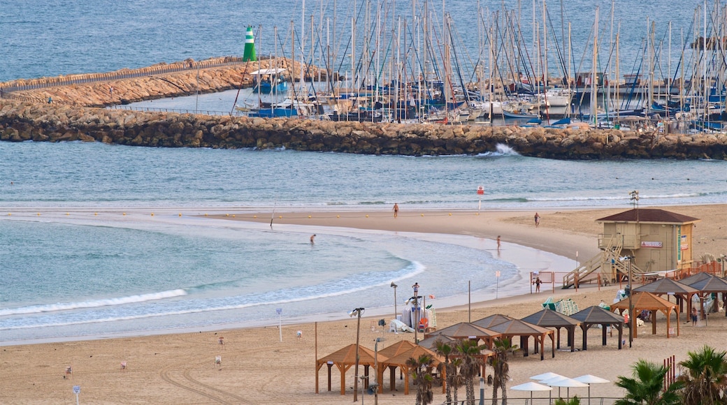 Frishman strand fasiliteter samt kyst, strand og bukt eller havn