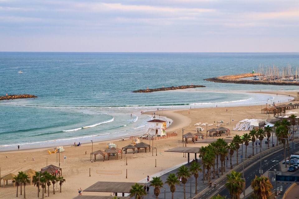 A beach with a pier, palm trees, and a parking lot.