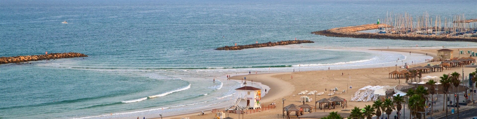 Plage Frishman mettant en vedette plage de sable, vues littorales et panoramas