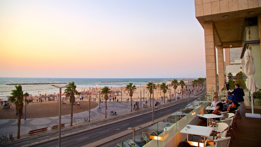 Playa Frishman mostrando vistas panorámicas, vistas de una costa y comidas al aire libre