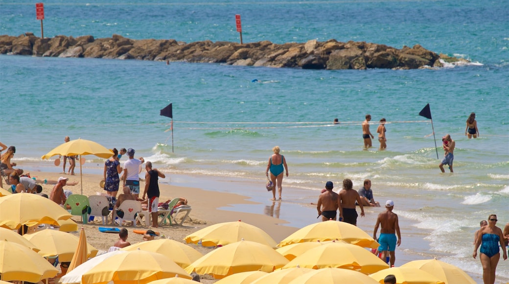 Frishman strand fasiliteter samt kyst, sandstrand og svømming