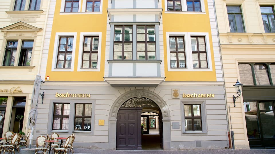 Bach Museum showing a city