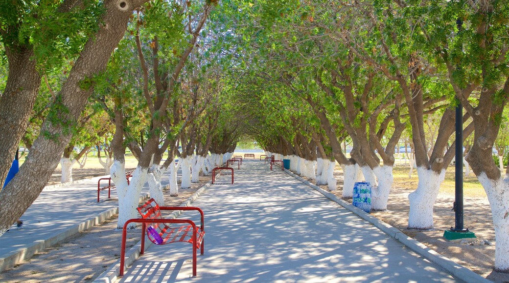 เซ็นทรัลพาร์ก