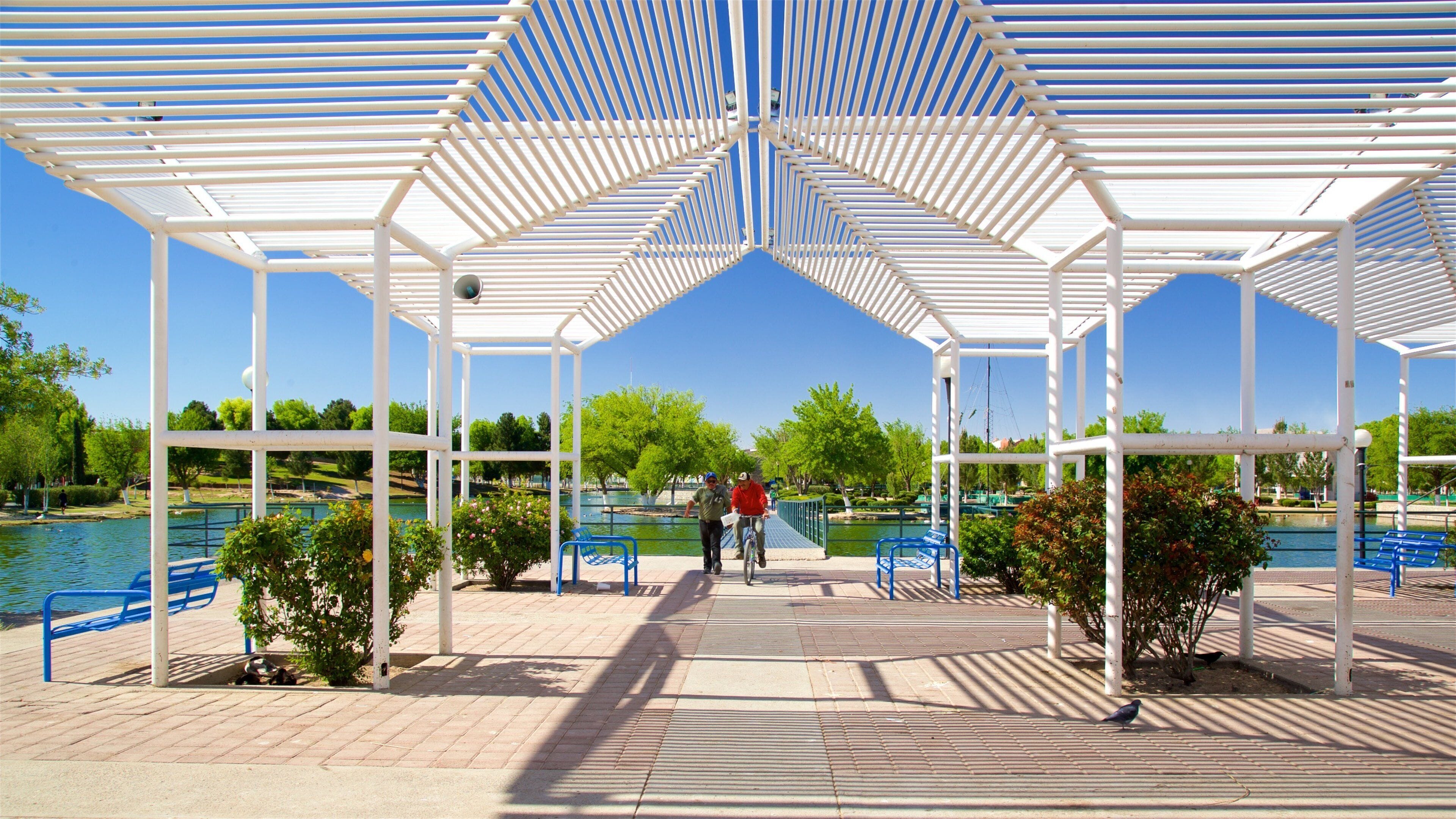 Central Park showing a lake or waterhole