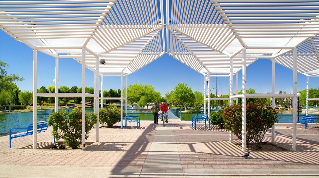 Central Park showing a lake or waterhole