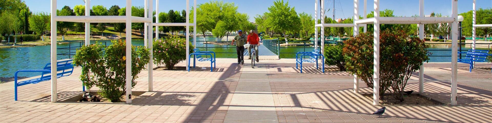 Central Park showing a lake or waterhole