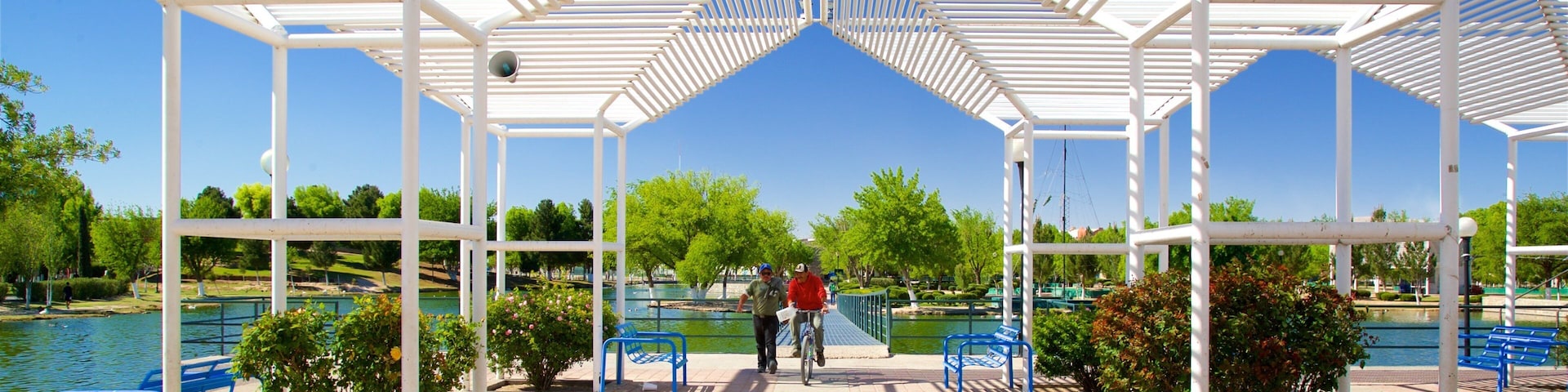 Central Park showing a lake or waterhole