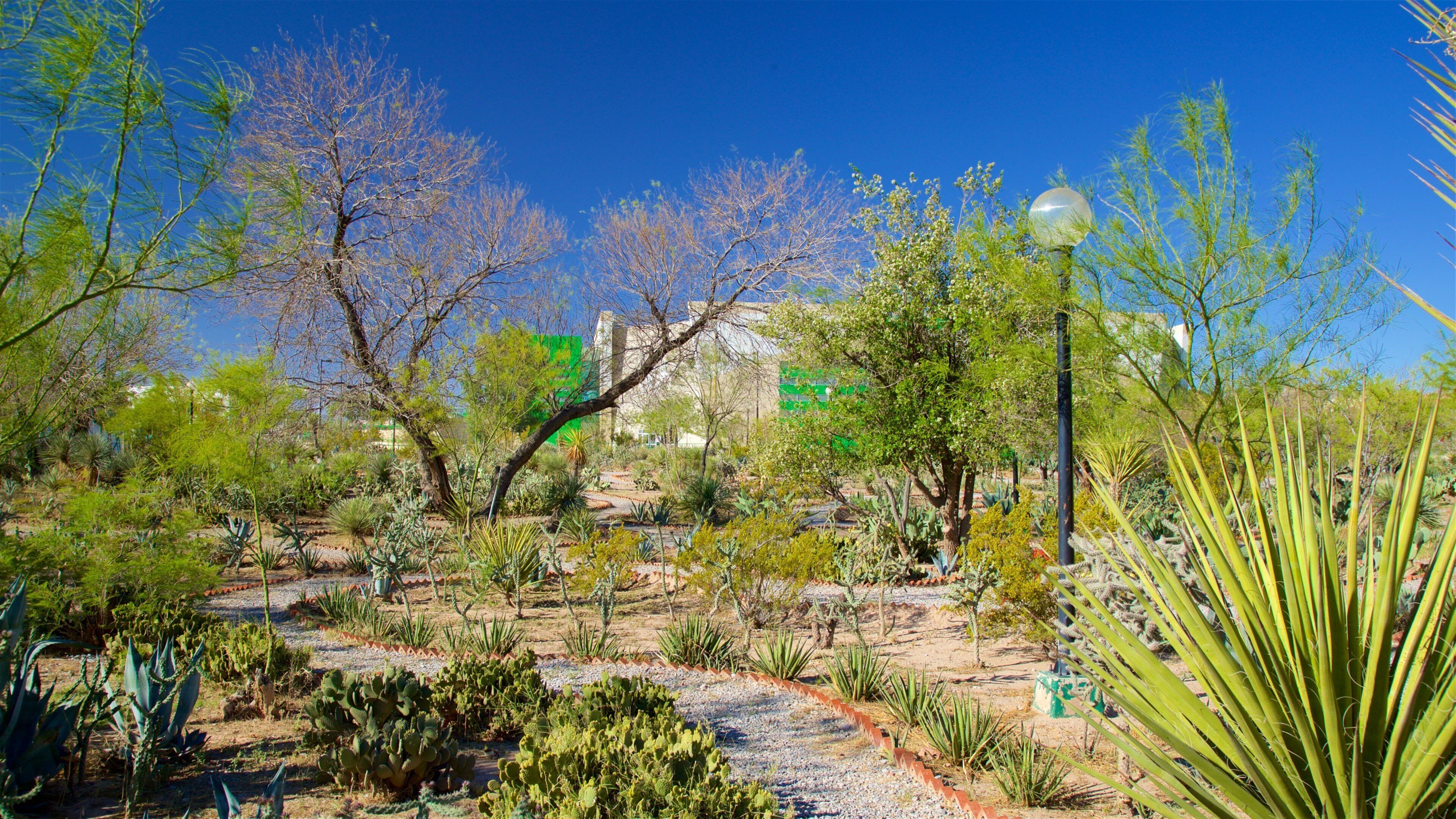 เซ็นทรัลพาร์ก