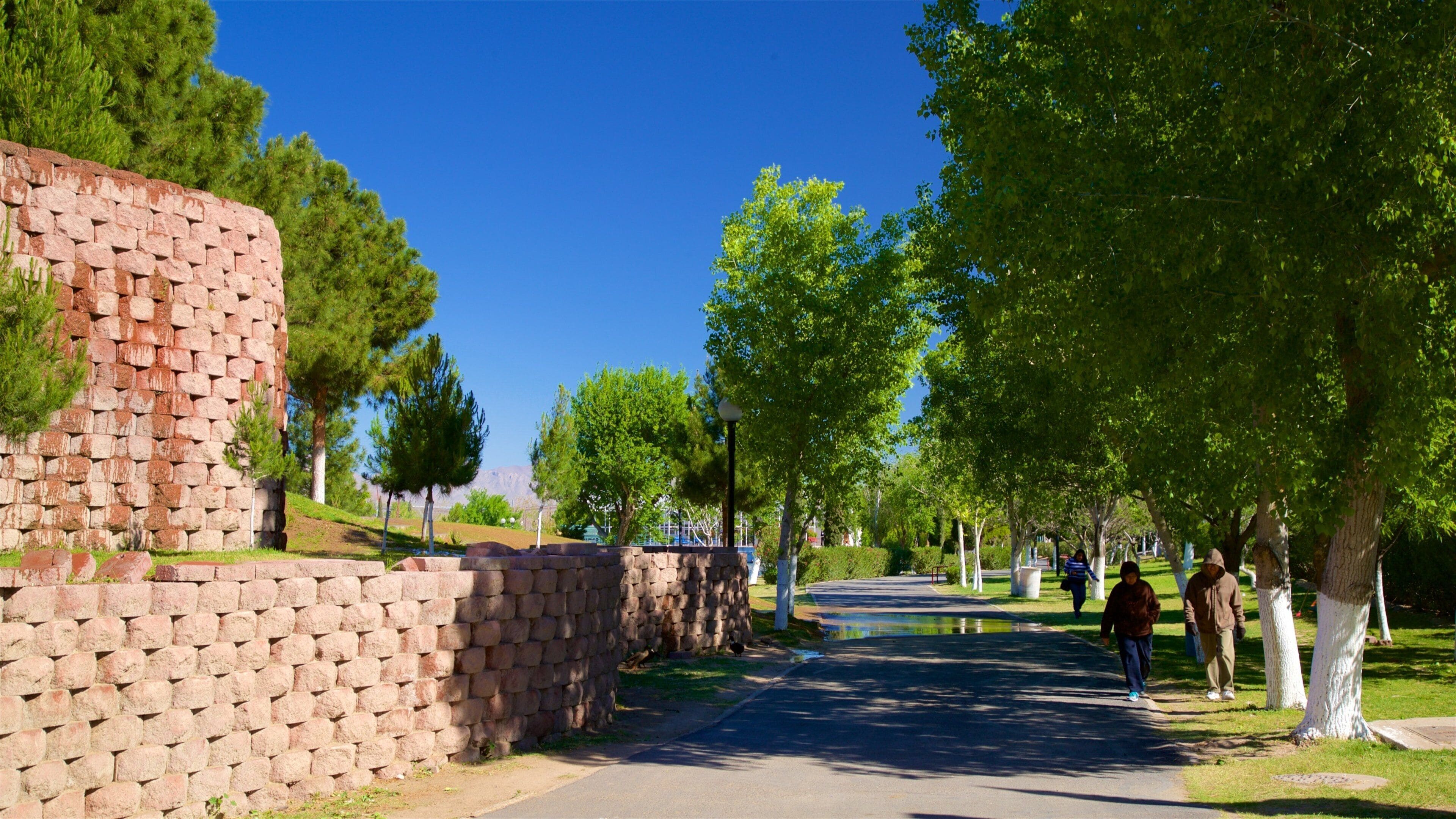Um caminho pavimentado ladeado por árvores e um muro de pedra.