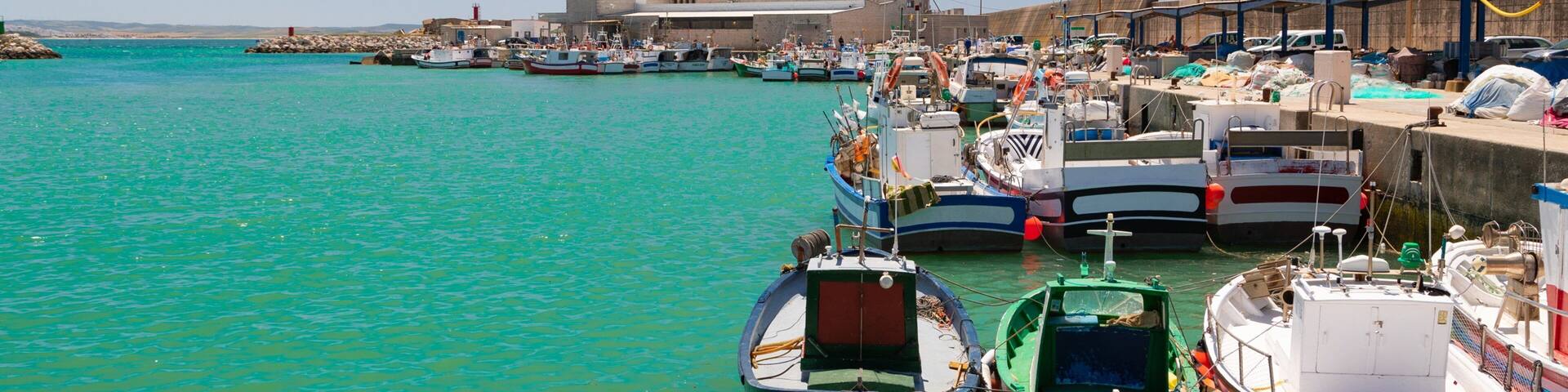 Puerto de Conil featuring a bay or harbor