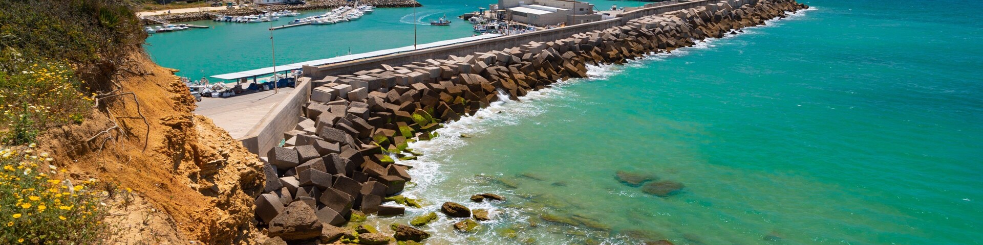 Puerto de Conil which includes general coastal views and landscape views