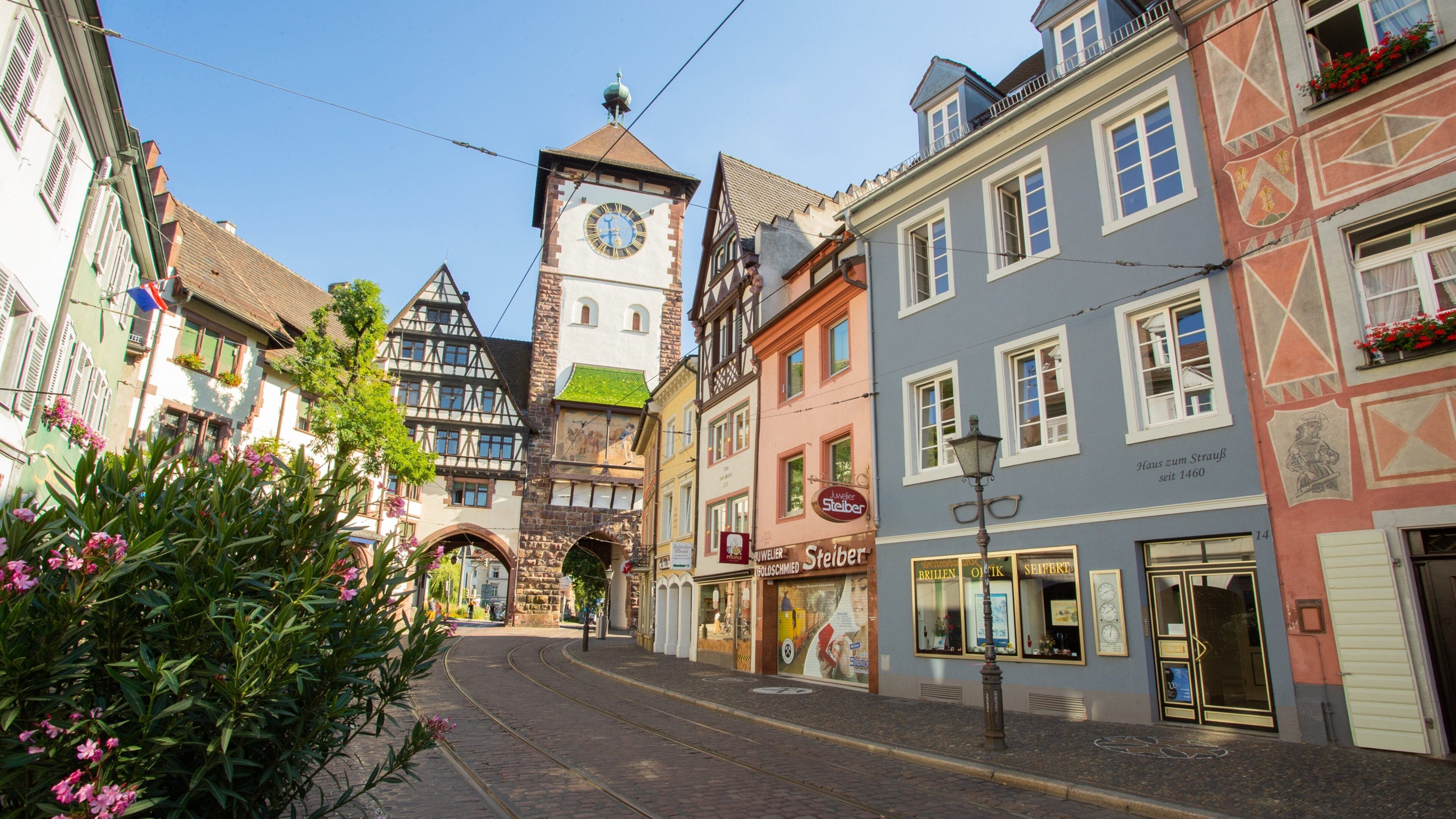 Schwabentor Gate featuring a city and wildflowers