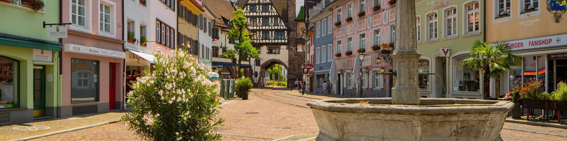 Schwabentor Gate showing a fountain, flowers and a city