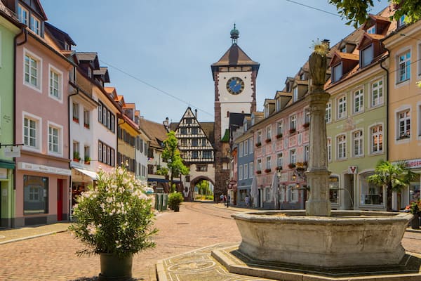 Schwabentor Gate showing a fountain, flowers and a city