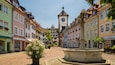 Schwabentor Gate showing a fountain, flowers and a city