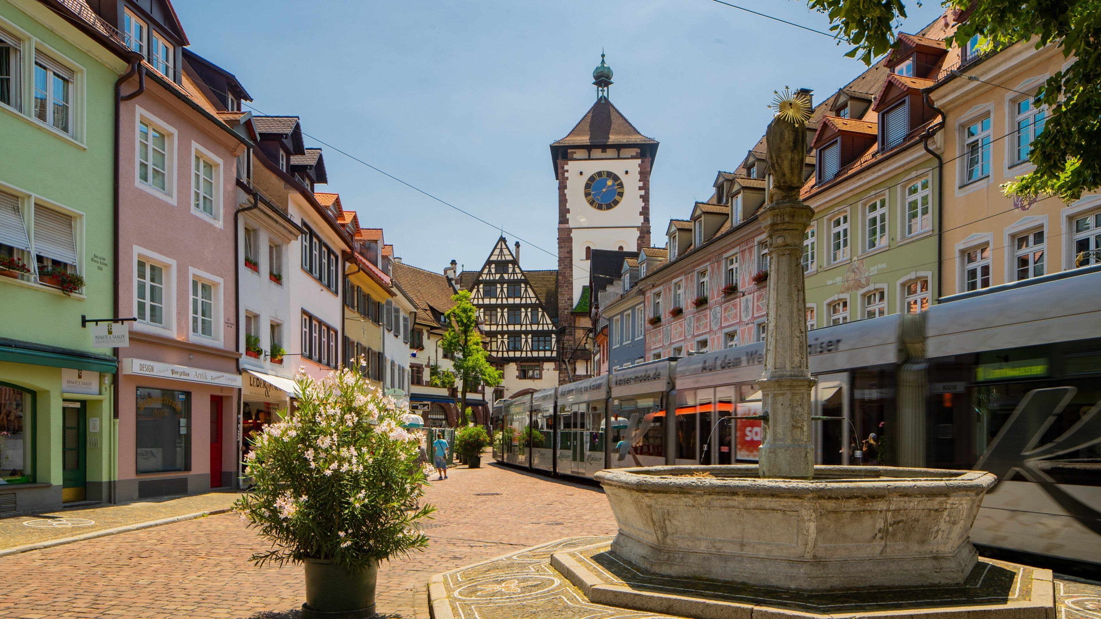 Schwabentor Gate showing flowers, a city and a fountain