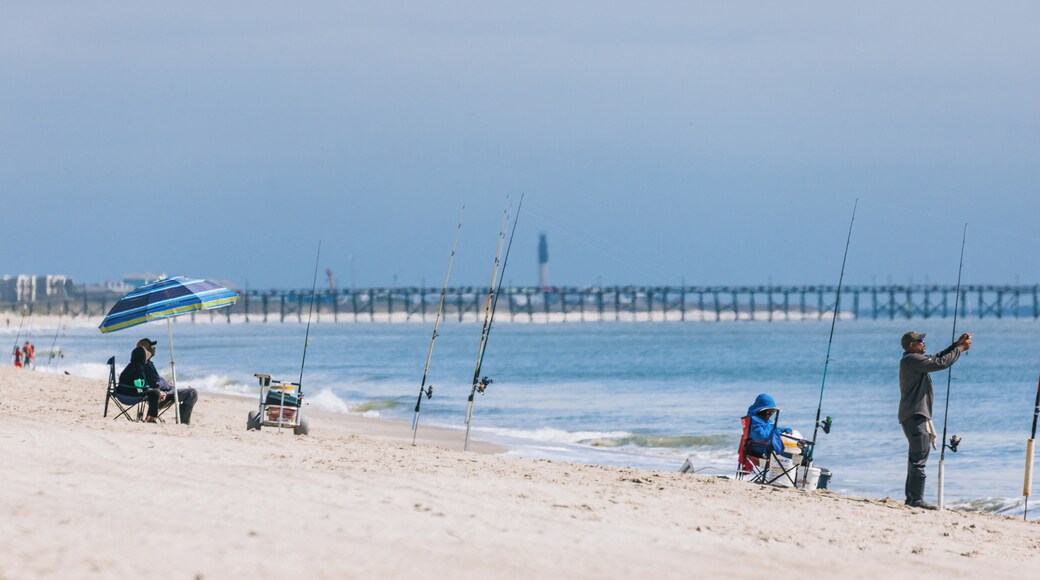 Oak Island