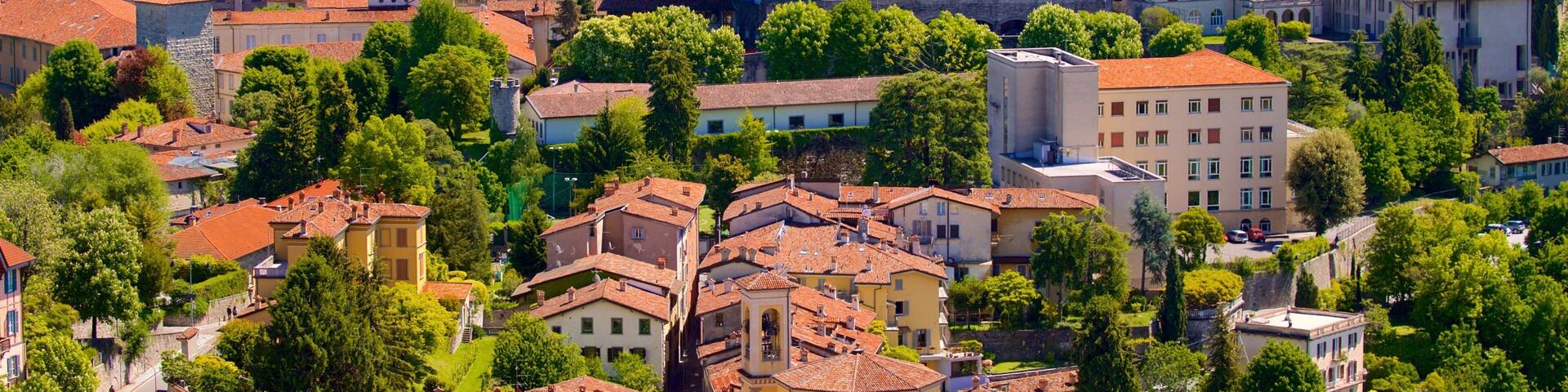 A densely packed urban area with historic buildings, red-tiled roofs, and lush green trees.