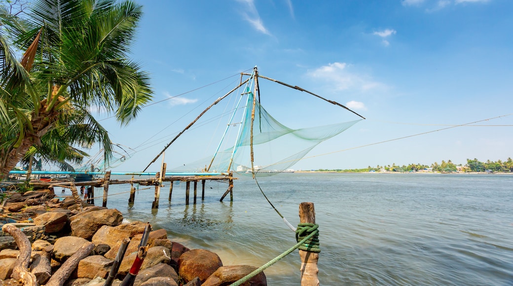 Redes de pesca chinas