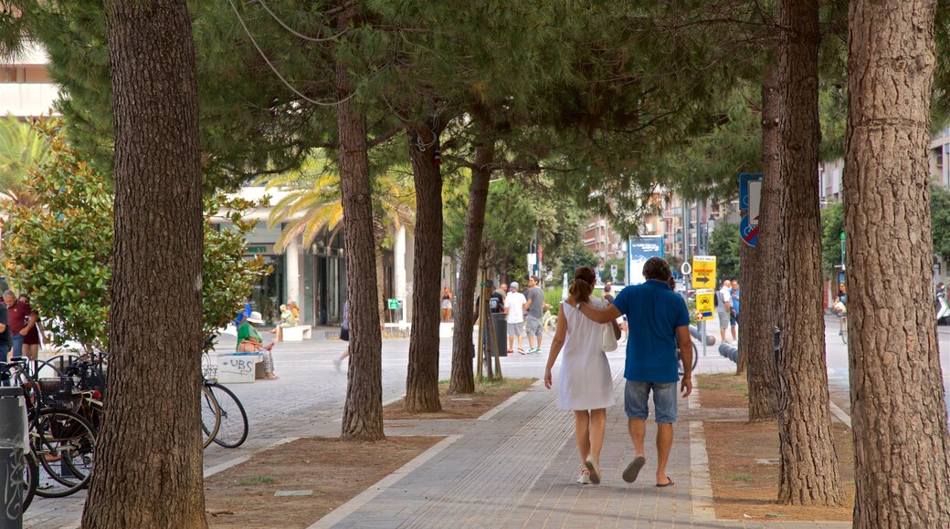 Piazza della Rinascita showing a garden as well as a couple