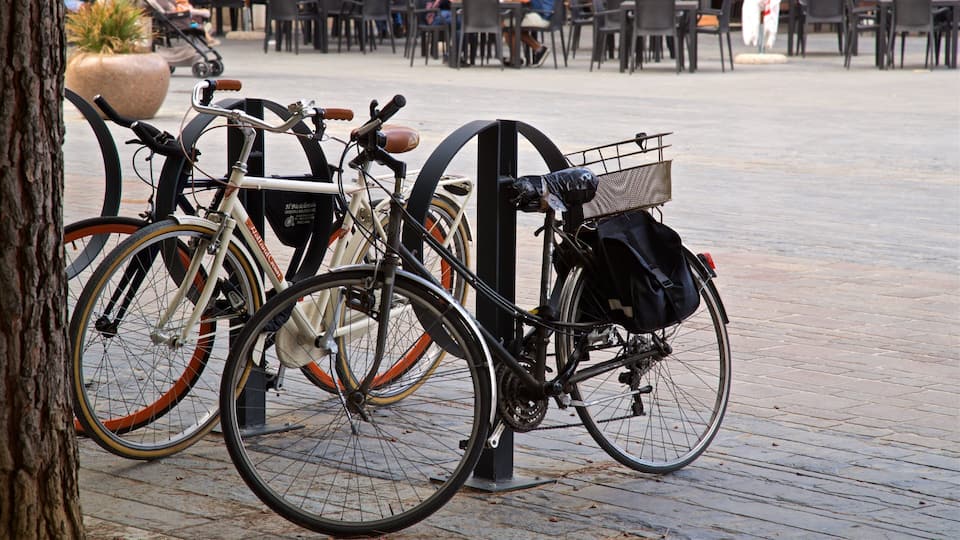 Piazza della Rinascita