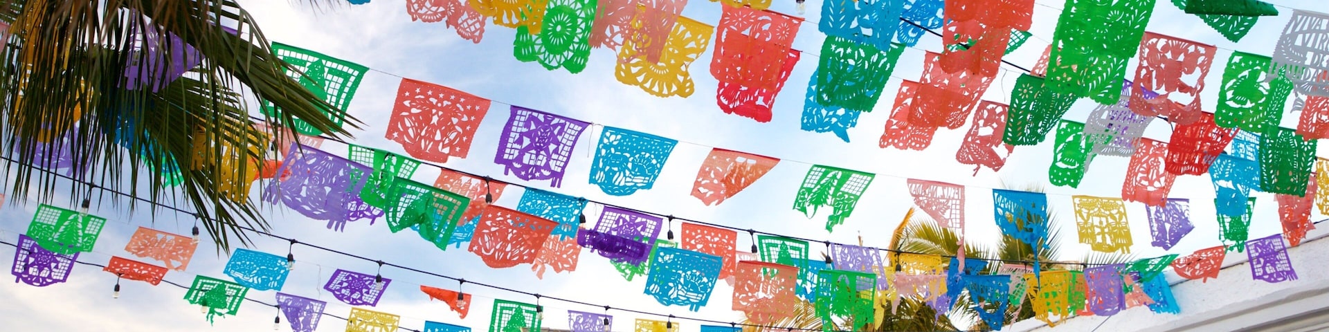 San Jose del Cabo Art District