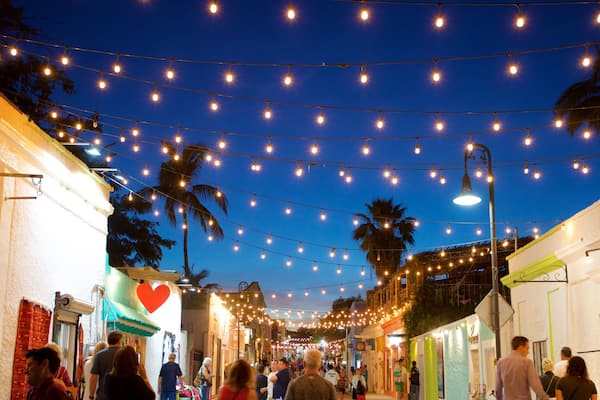 San Jose del Cabo Art District showing street scenes and night scenes as well as a small group of people